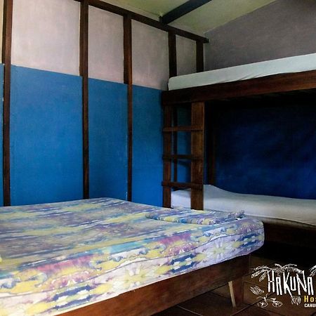 Hakuna Matata Hostel Cahuita Exteriér fotografie