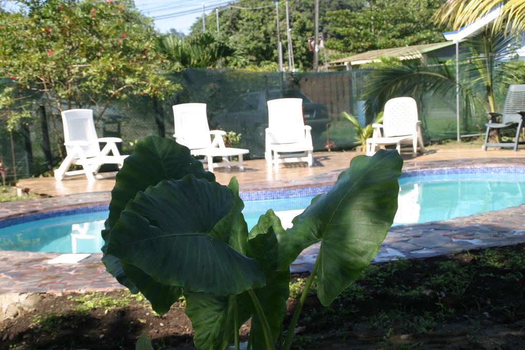 Hakuna Matata Hostel Cahuita Exteriér fotografie