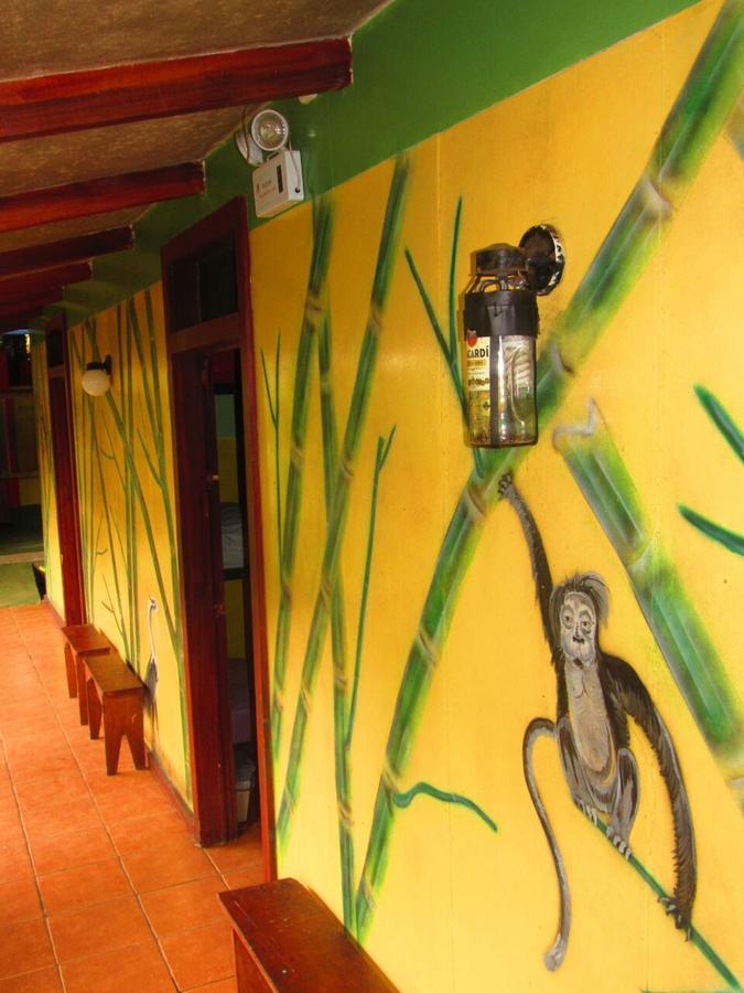 Hakuna Matata Hostel Cahuita Exteriér fotografie