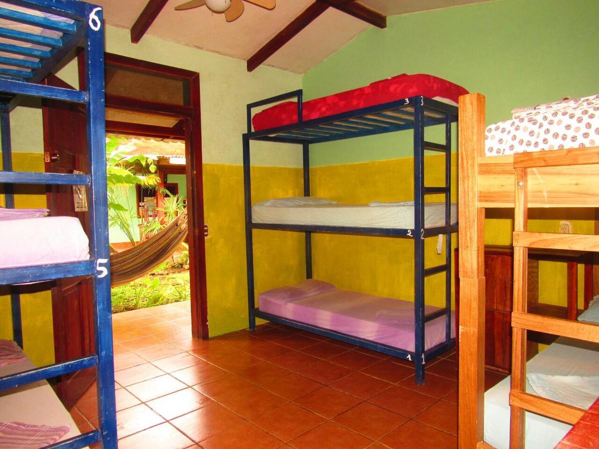 Hakuna Matata Hostel Cahuita Exteriér fotografie