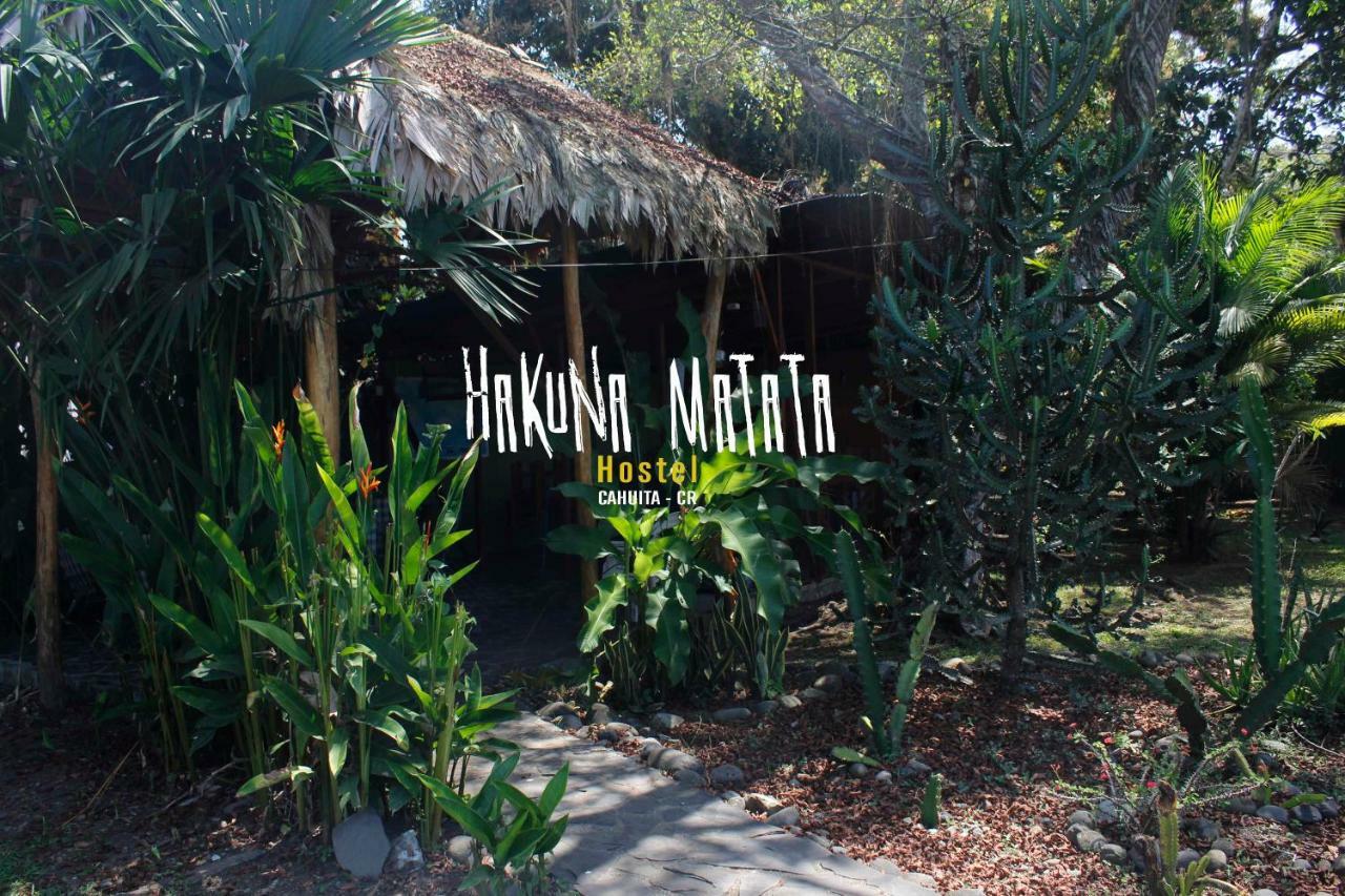 Hakuna Matata Hostel Cahuita Exteriér fotografie