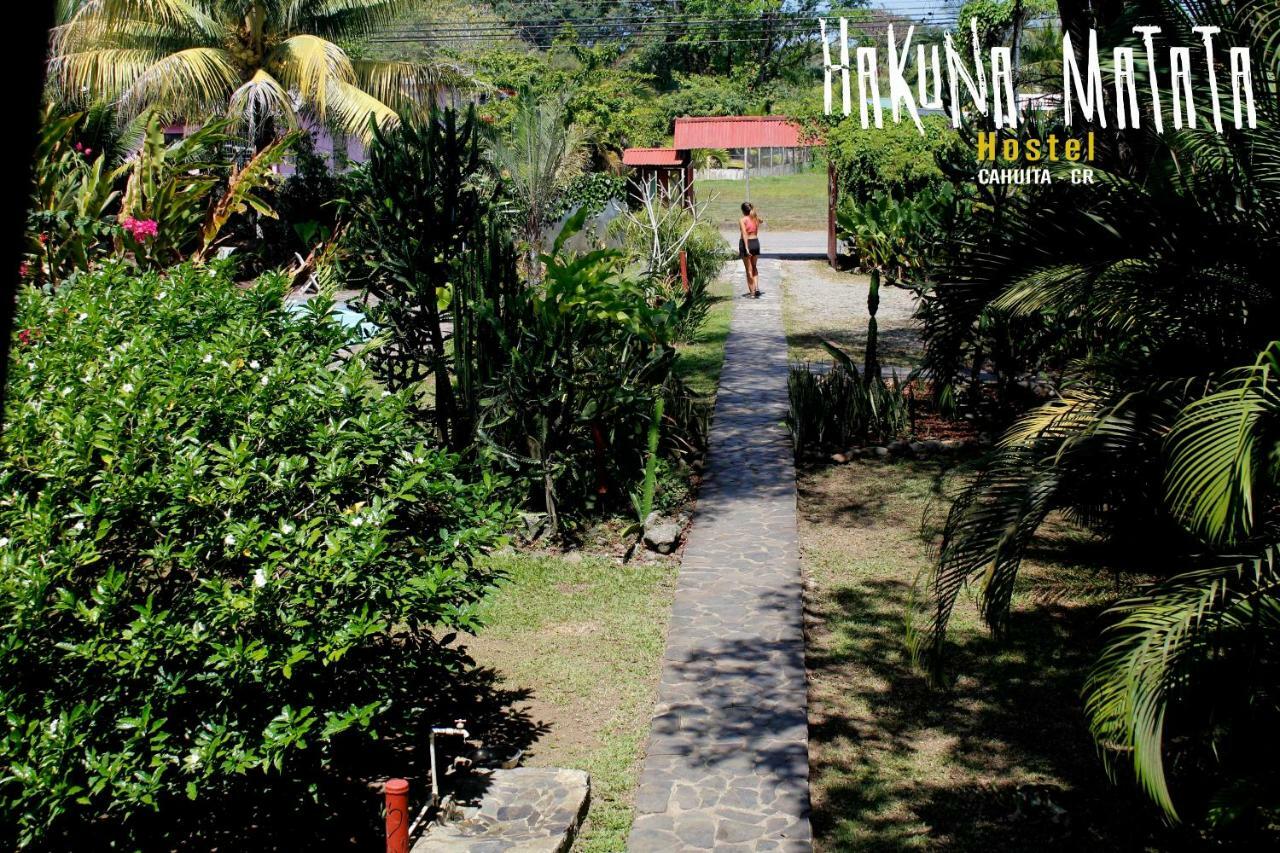 Hakuna Matata Hostel Cahuita Exteriér fotografie